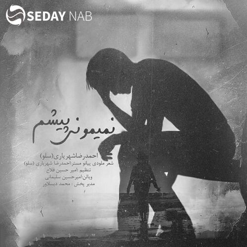 دانلود آهنگ جدید احمد سلو به نام نیممونی پیشام